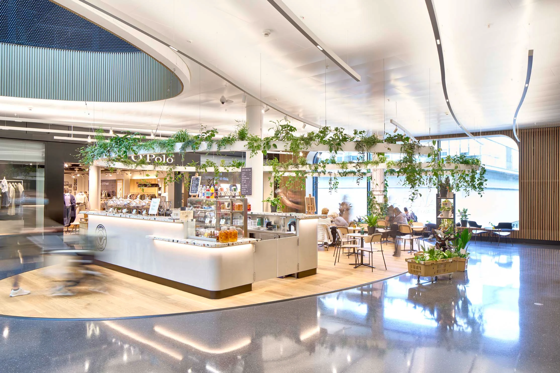 Front von Coffee and Plants