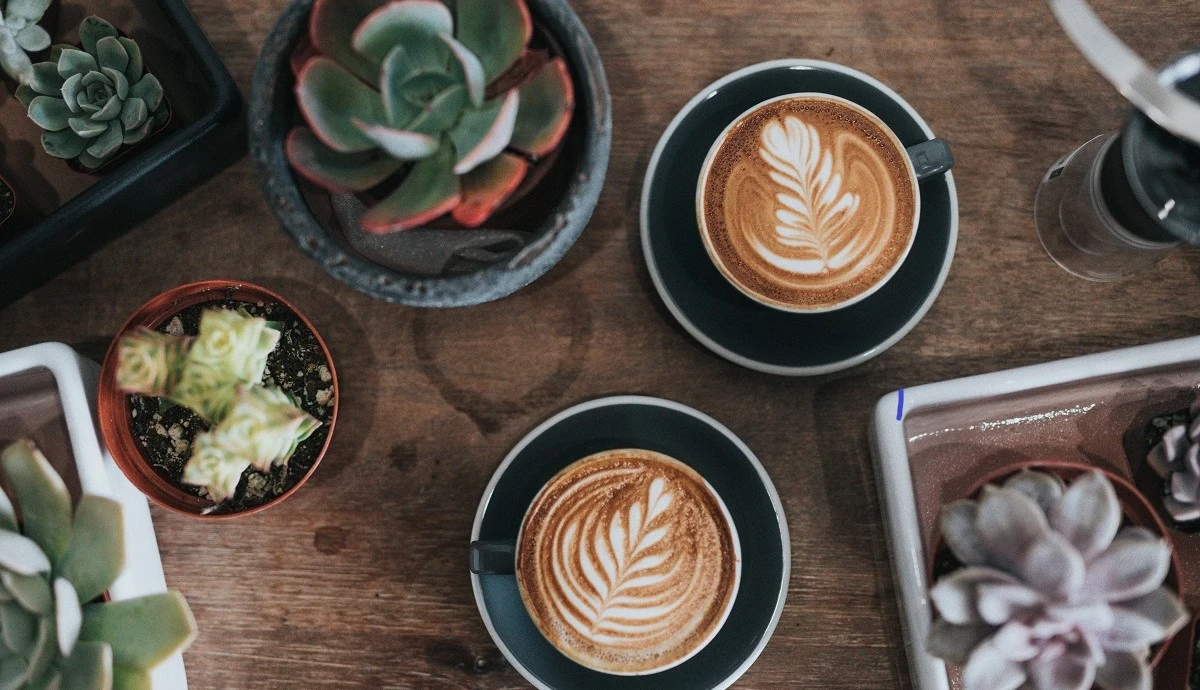 Food Foto von Coffee and Plants
