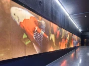 Art in Sihlcity